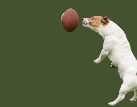 Underdog Sports Bucks Tendenza e supporta il GRIT Act